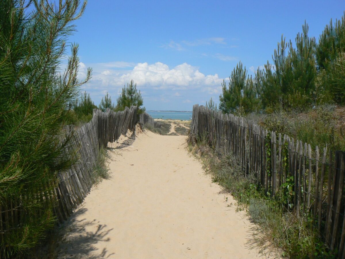 Plage du Grand Crohot rouverte après l’incendie : ce qui est ouvert, ce qui reste fermé