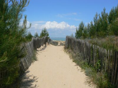 Serene sandy path through pine trees leading to the ocean under a bright blue sky in Nouvelle-Aquitaine, France.